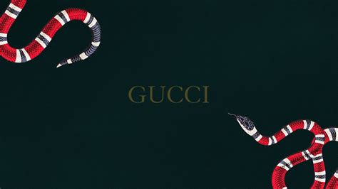 modello gucci 1920 1080